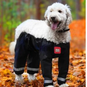 Dog Pants