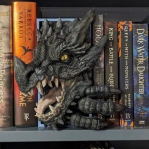 Dragon Peeking Book Nook