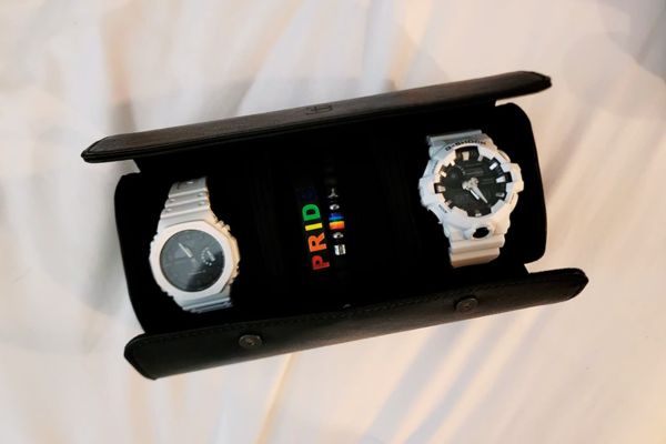 watch travel case