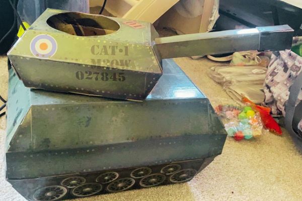 Novelty Cardboard Cat Tank